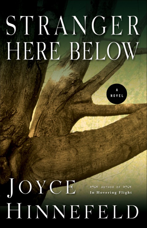 Cover image for book Stranger Here Below