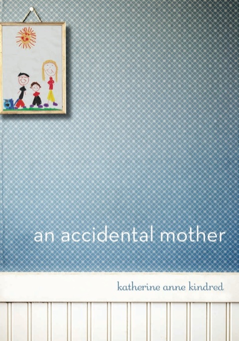 Cover image for book An Accidental Mother