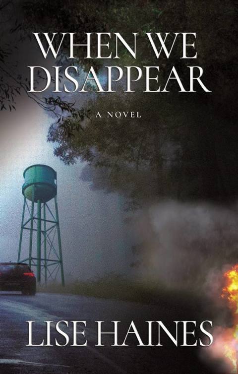 Cover image for book When We Disappear