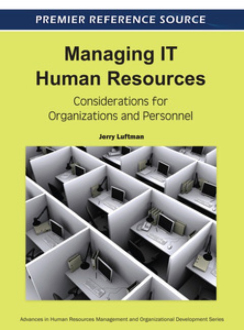 Cover image for book Managing IT Human Resources: Considerations for Organizations and Personnel