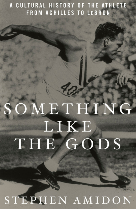 Cover image for book Something Like the Gods