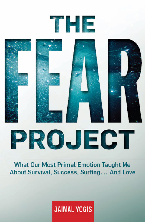 Cover image for book The Fear Project
