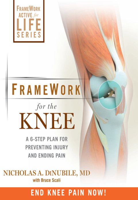 Cover image for book FrameWork for the Knee