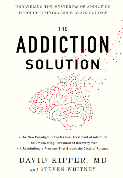 Cover image for book The Addiction Solution