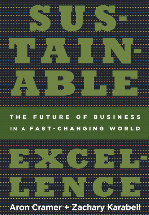Cover image for book Sustainable Excellence