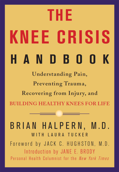 Cover image for book The Knee Crisis Handbook