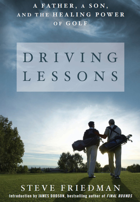 Cover image for book Driving Lessons