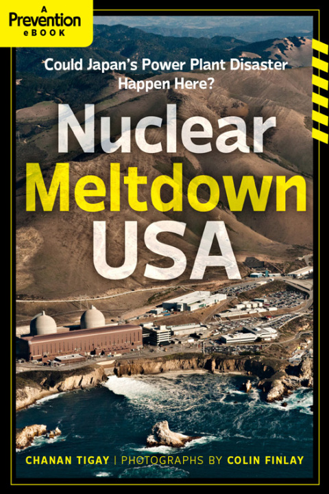 Cover image for book Nuclear Meltdown, USA