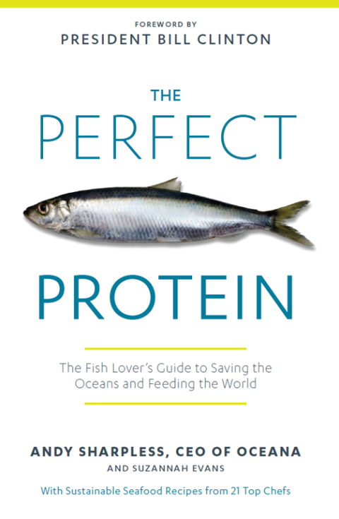 Cover image for book The Perfect Protein