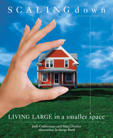 Cover image for book Scaling Down