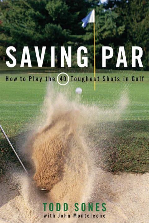 Cover image for book Saving Par