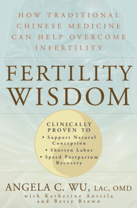 Cover image for book Fertility Wisdom