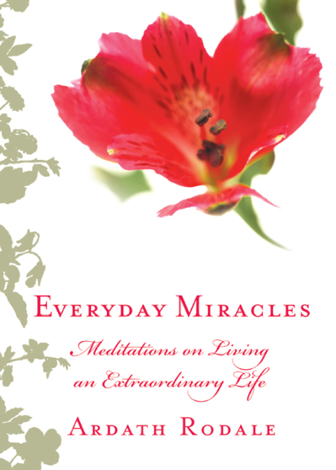 Cover image for book Everyday Miracles