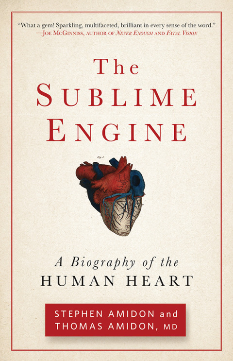 Cover image for book The Sublime Engine