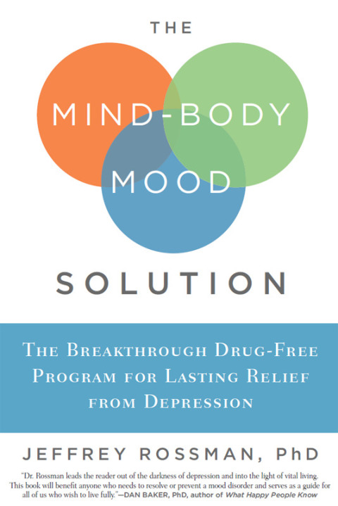 Cover image for book The Mind-Body Mood Solution