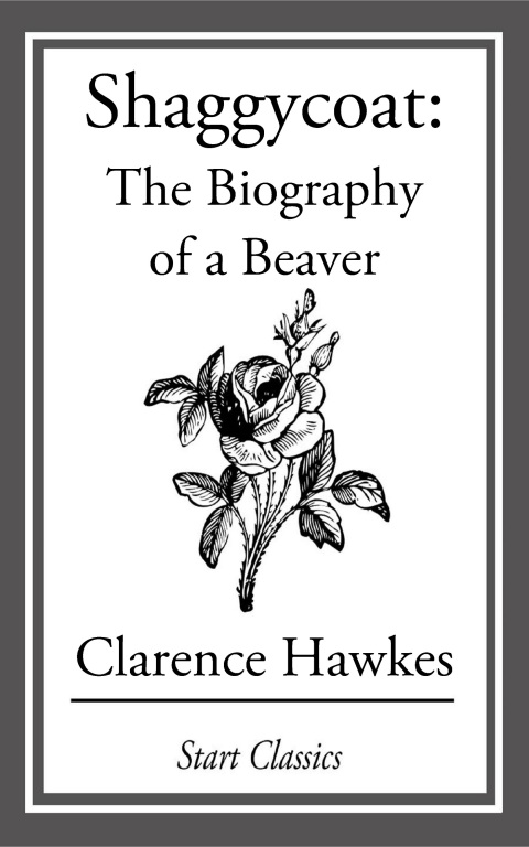 Cover image for book Shaggycoat