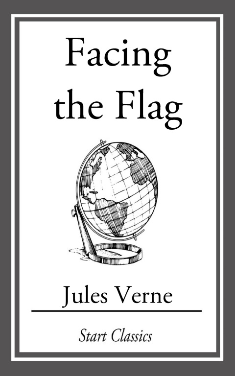Cover image for book Facing the Flag