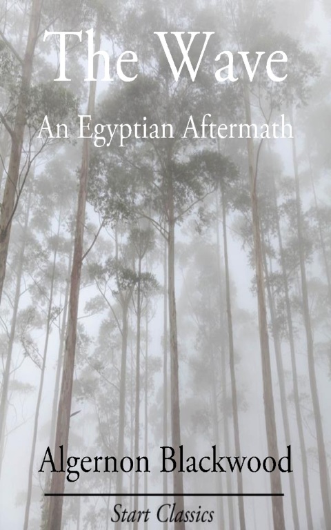 Cover image for book The Wave: An Egyptian Aftermath
