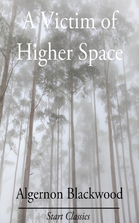 Cover image for book A Victim of Higher Space