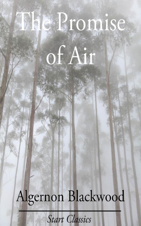 Cover image for book The Promise of Air