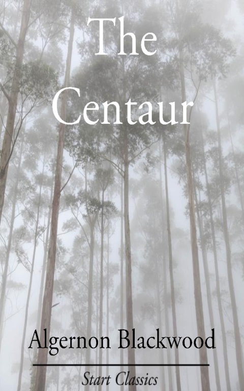 Cover image for book The Centaur