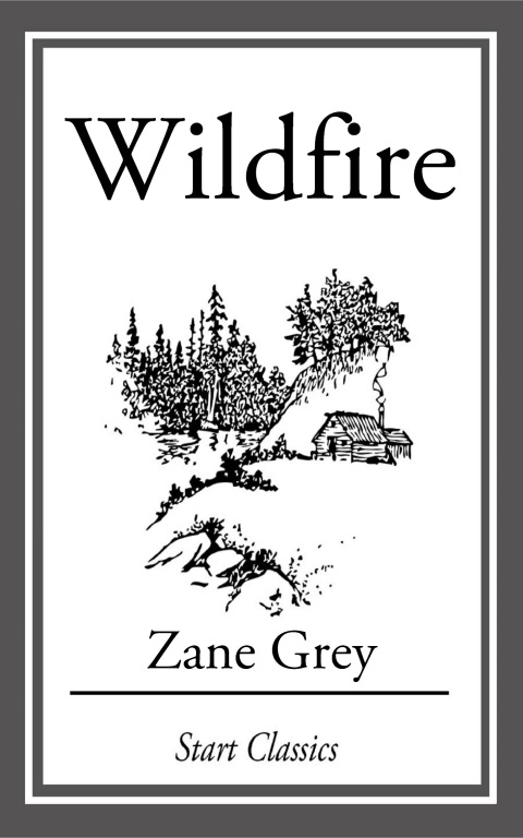 Cover image for book Wildfire