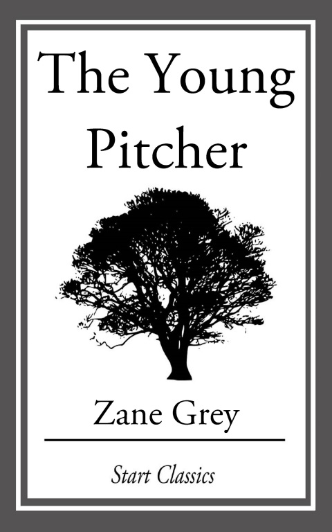 Cover image for book The Young Pitcher