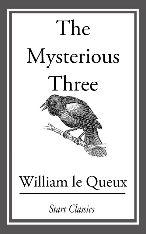 Cover image for book The Mysterious Three
