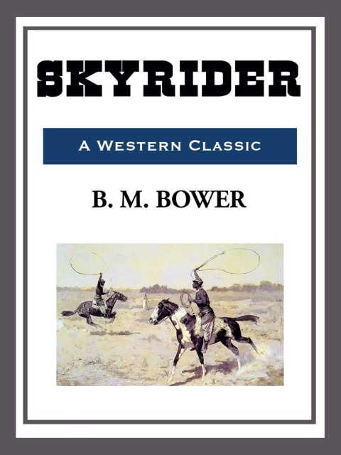 Cover image for book Skyrider
