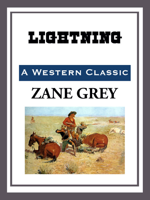 Cover image for book Lightning