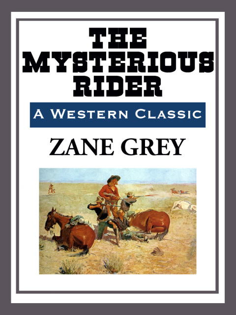 Cover image for book The Mysterious Rider