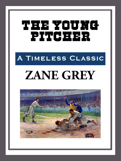 Cover image for book The Young Pitcher