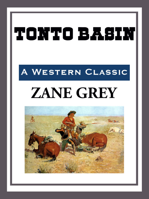 Cover image for book Tonto Basin