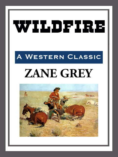 Cover image for book Wildfire