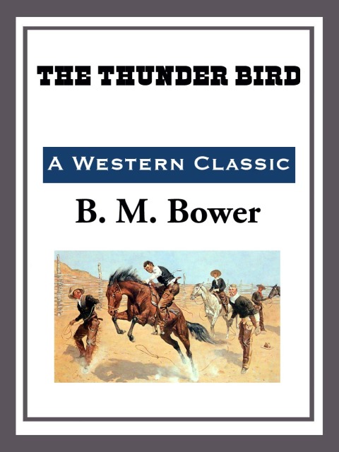 Cover image for book The Thunder Bird