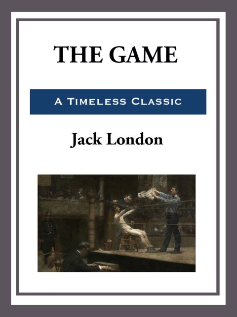 Cover image for book The Game