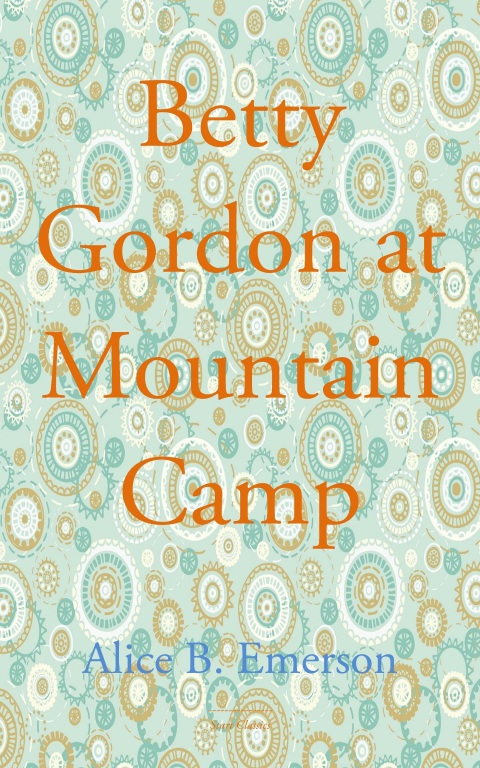 Cover image for book Betty Gordon at Mountain Camp