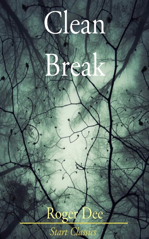 Cover image for book Clean Break