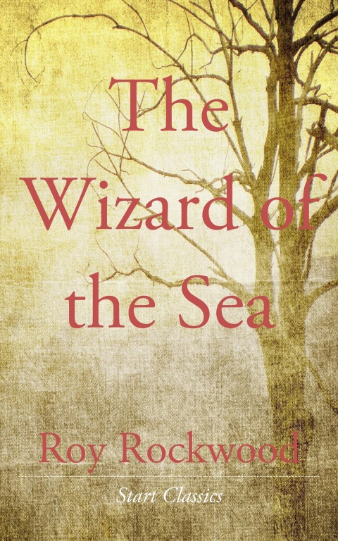 Cover image for book The Wizard of the Sea