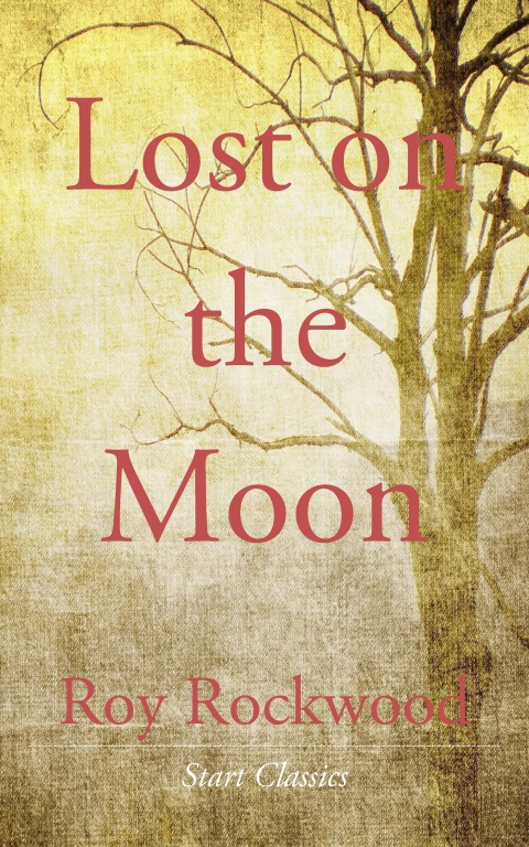 Cover image for book Lost on the Moon