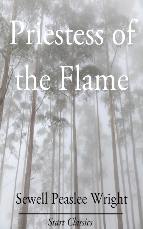 Cover image for book Priestess of the Flame