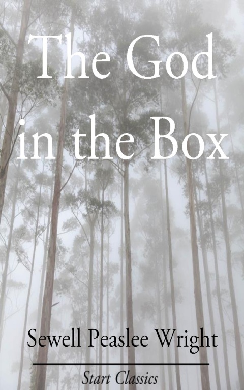 Cover image for book The God in the Box
