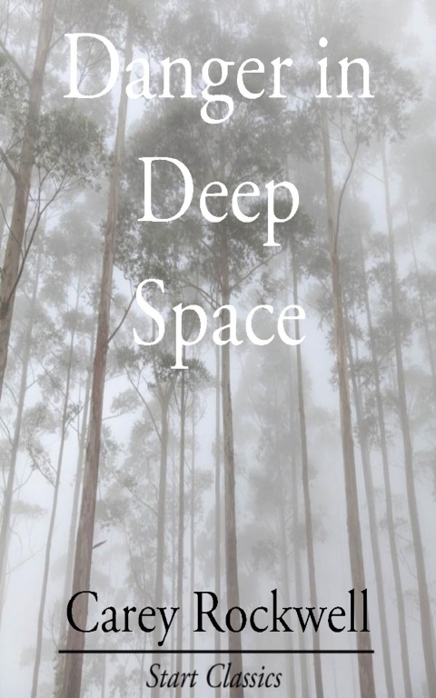 Cover image for book Danger in Deep Space