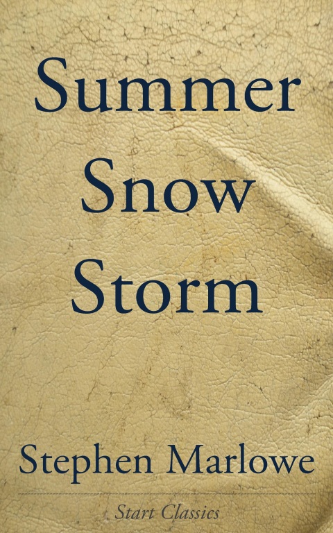 Cover image for book Summer Snow Storm