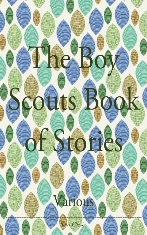 Cover image for book The Boy Scouts Book of Stories
