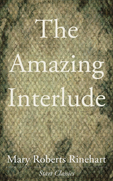 Cover image for book The Amazing Interlude