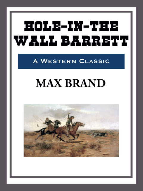 Cover image for book Hole-in-the-Wall Barrett