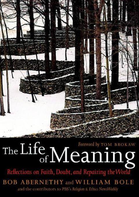 Cover image for book The Life of Meaning
