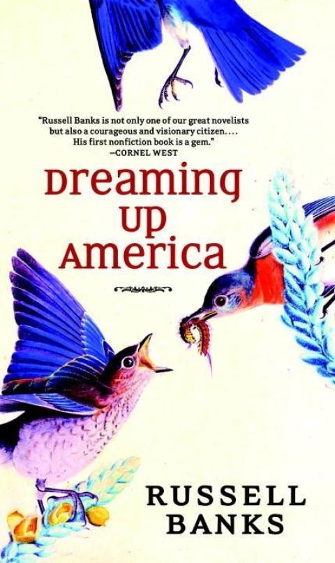 Cover image for book Dreaming Up America