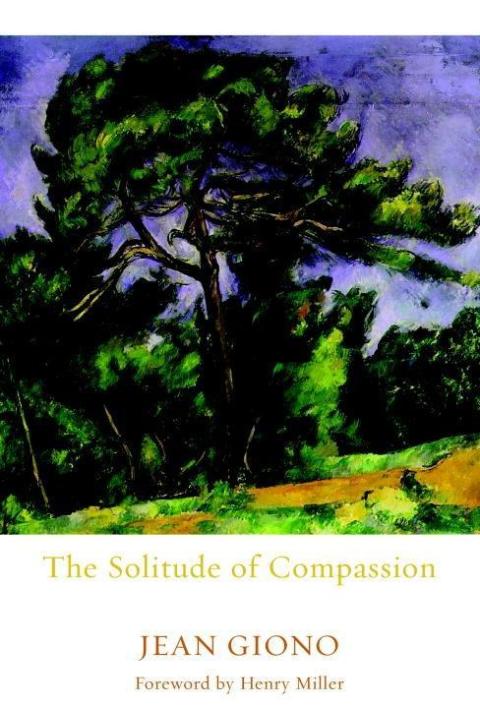Cover image for book The Solitude of Compassion
